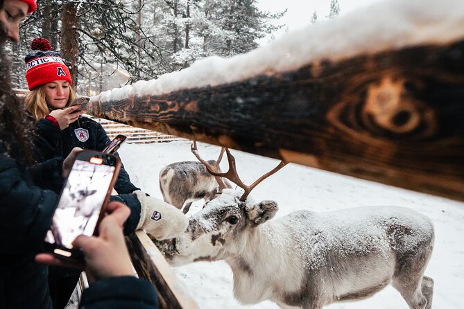 1 Day Pass Lapland Winter Park in Rovaniemi - The Ice Rink: When Conditions Matter