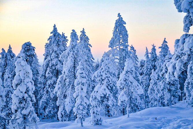 1-Hour Snowmobile Safari Adventure in Rovaniemi - The Guided Snowmobile Safari: What the Ride Feels Like