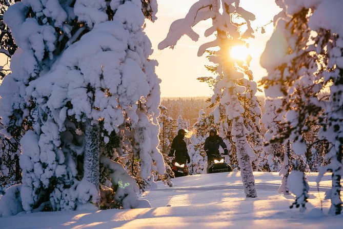 1-Hour Snowmobile Safari Experience - The Safety Briefing: Calm, Clear, and Built for Beginners