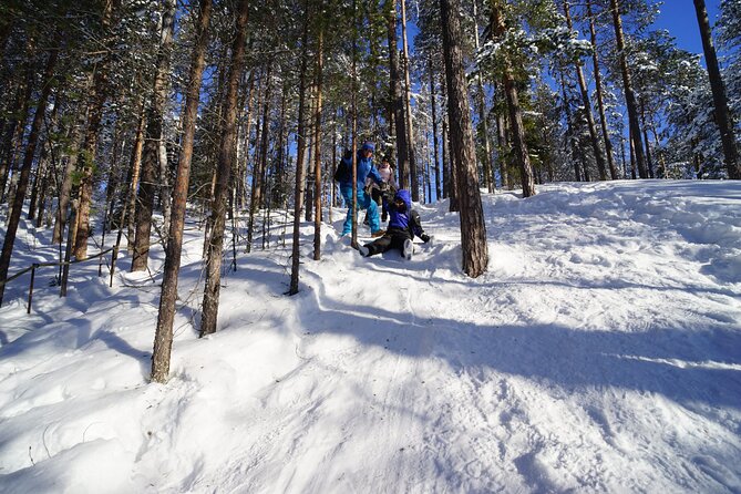 10 km Authentic Husky Safari in the Taiga Forest – Family Kennel - Key highlights you’ll feel on the day