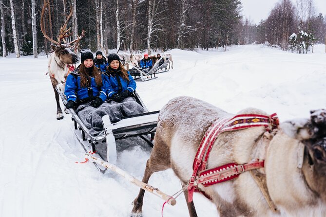 Apukka Reindeer Journey - Price and value: what $215.54 includes (and why that’s not the whole story)