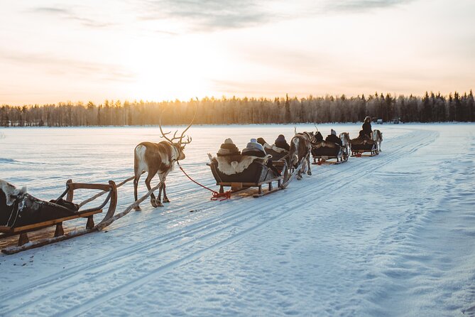 Apukka Reindeer Journey - Where you meet and the pickup times that can make or break it