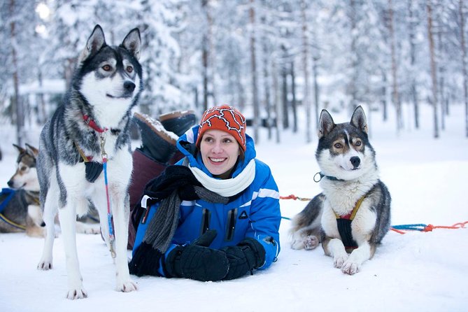 Arctic Circle Family Day - Husky Sleigh Ride Through the Forest: The First Big Smile