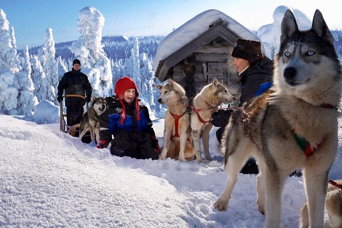 Arctic Circle Family Day - Price and Value: What You’re Paying For at $460.49 Per Person