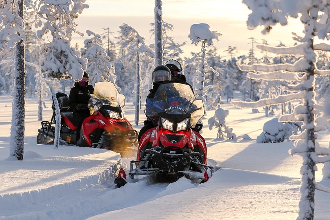 Arctic Delight - Visit to Santa's Village and snowmobiling to reindeer farm - Price and value: is $295.82 a smart deal?