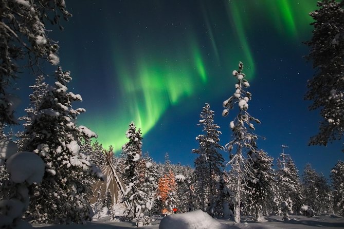 Aurora Borealis Picnic in Rovaniemi - Key things to know before you go