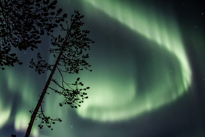 Aurora Borealis Picnic in Rovaniemi - Aurora Borealis viewing: what guides do with the uncertainty