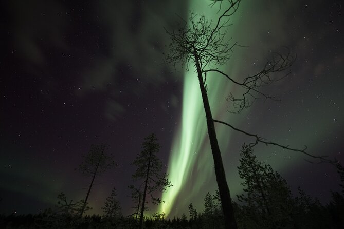 Aurora Borealis Picnic in Rovaniemi - Timing, duration, and group size: how this runs in real life