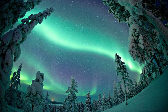 Aurora Borealis Picnic in Rovaniemi - The ride into Lapland: dark skies and aurora-spot decisions