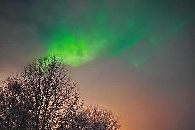 Aurora Hunt with BBQ in Rovaniemi - 8:00 pm Pickup and Santa Claus Village: Don’t Lose Time on a Dark Night