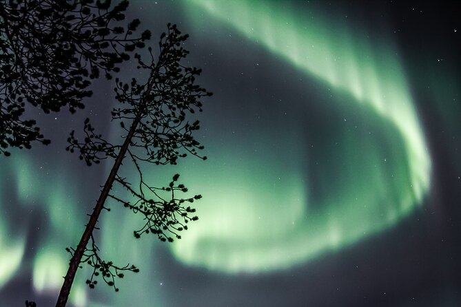 Aurora Hunting Photo Tour from Rovaniemi with Pickup - Aurora Hunting From Rovaniemi: What This Tour Really Delivers