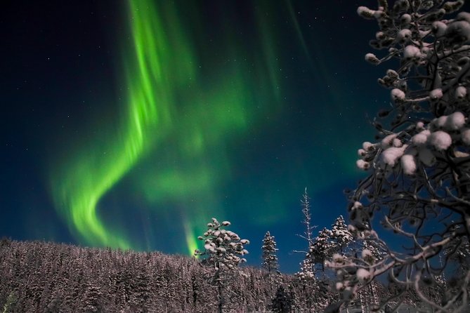Aurora Ice Floating in Rovaniemi - Warming Up: Hot Drinks and the Fire-Tipi Moment