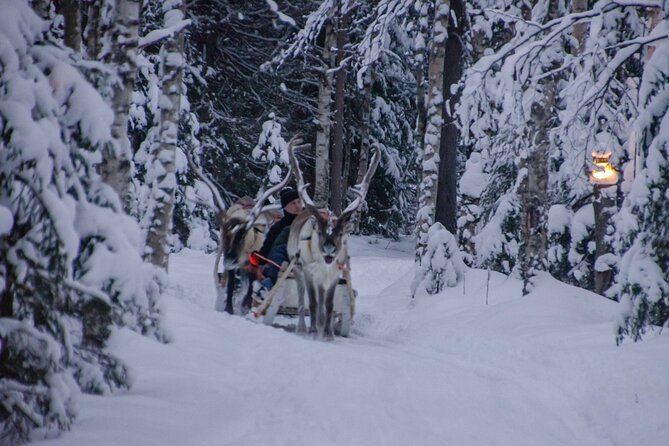 Authentic Reindeer Farm Experience in Rovaniemi - Warming up with tea and biscuits in a traditional setting
