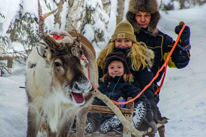 Authentic Reindeer Farm Experience in Rovaniemi - Who should book this reindeer farm morning (and who shouldn’t)