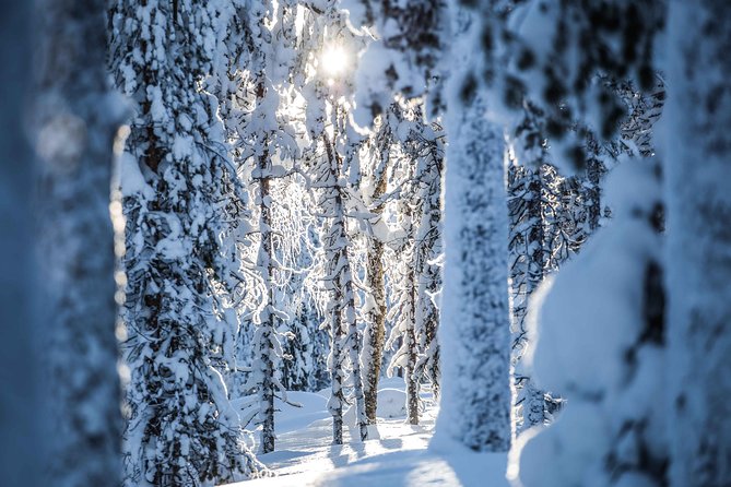 Backcountry skiing adventure - Who Should Book This Arctic Backcountry Ski Tour