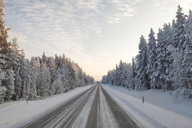 Best Of Lapland: Sauna, Ice swimming, Dinner & Northern Lights - Price and Value: What You’re Actually Paying For