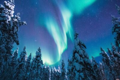 Bus Tour with Hunting Northern Lights - Meeting point reality check: where you’ll start and what to expect