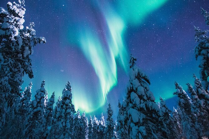 Bus Tour with Hunting Northern Lights - Meeting point reality check: where you’ll start and what to expect