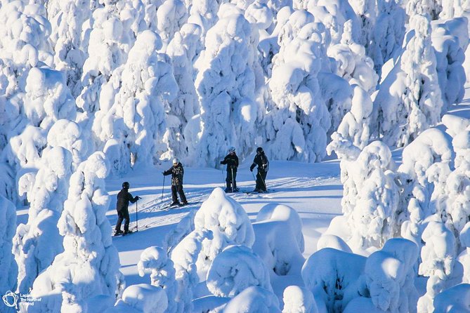 Cross-Country Skiing Trip - Half-Day Timing: 10 AM vs 2 PM