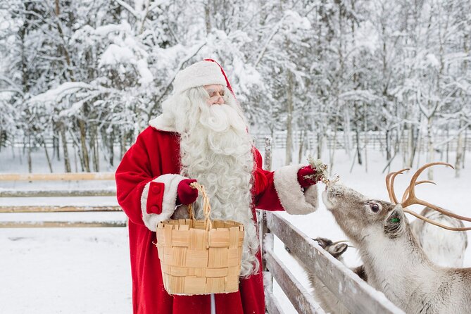 Daytour to Santa Claus Village, Reindeer and Husky Safaris, Photo, and Lunch - Reindeer Safari (400m) and Husky Safari (500m): The Real Arctic Fun