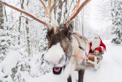 Daytour to Santa Claus Village, Reindeer and Husky Safaris, Photo, and Lunch - The Santa Office Photo: Why the 20 Minutes Matters