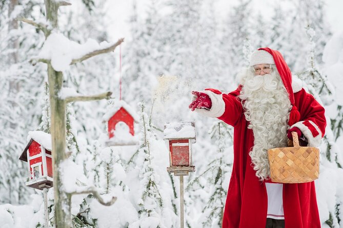 Daytour to Santa Claus Village, Reindeer and Husky Safaris, Photo, and Lunch - Pickup, Timing, and How to Keep the Day Smooth