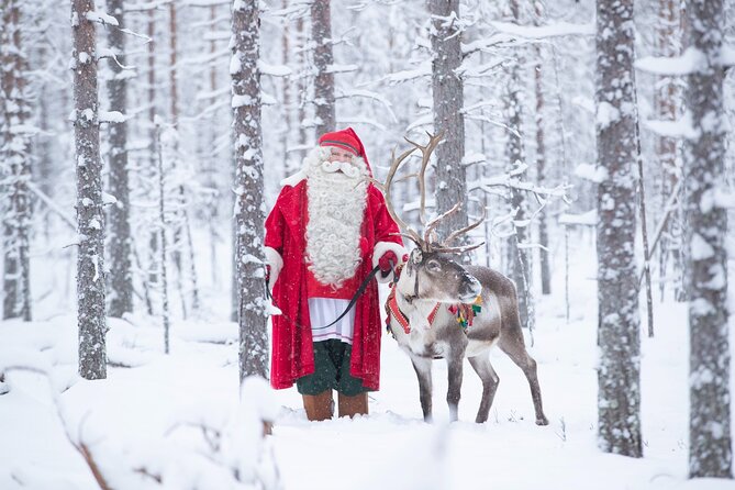 Daytour to Santa Claus Village, Reindeer and Husky Safaris, Photo, and Lunch - English-Friendly and Family-Friendly by Design