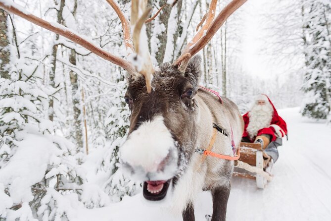 Daytour to Santa Claus Village, Reindeer and Husky Safaris, Photo, and Lunch - The Santa Office Photo: Why the 20 Minutes Matters