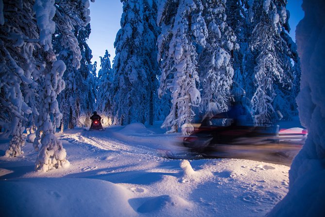 Evening Escape - Snowmobile safari and campfire in Rovaniemi - Riding through the dark: headlights, pine silhouettes, and slow-movie calm