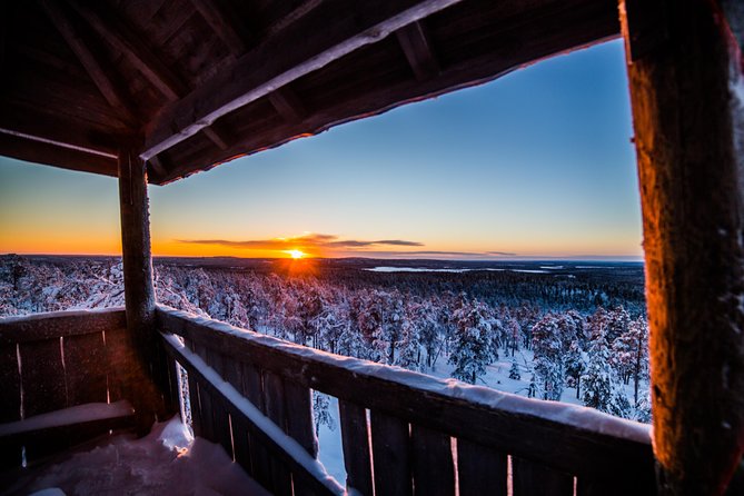 Explore the Wilderness - Key Things To Know Before You Go Into the Arctic Woods