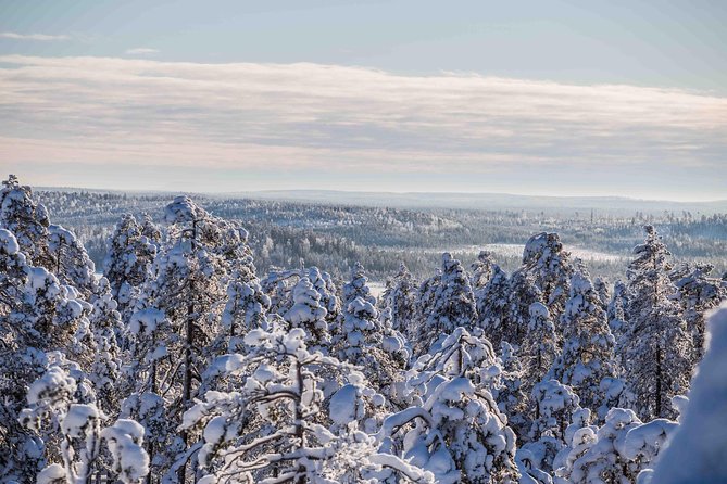 Explore the Wilderness - The Photography Angle: Not Just Walking, But Framing