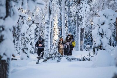 Explore the Wilderness - Stop 1: Beyond Arctic Forests and the 4 km Photo-Walk