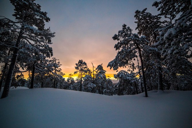 Explore the Wilderness - Flexibility: Adapting to Weather and Your Interests