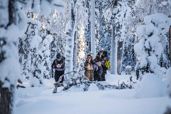 Explore the Wilderness - Stop 1: Beyond Arctic Forests and the 4 km Photo-Walk