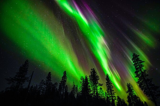 Family-Friendly: Northern Lights Adventure from Rovaniemi - Key things I’d pay attention to