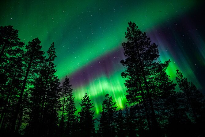 Family-Friendly: Northern Lights Adventure from Rovaniemi - Aurora photography help: Cameras welcome, tripods optional