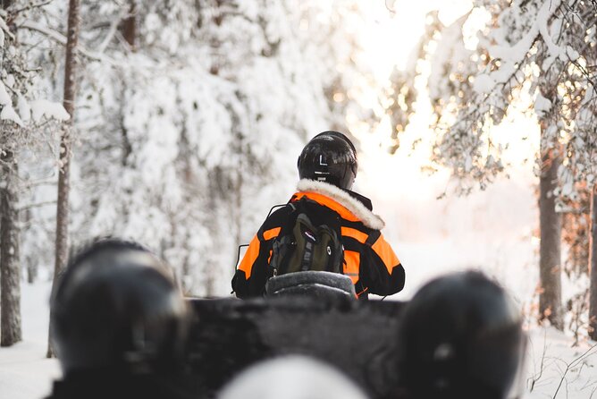 Family Snowmobile Safari from Santa Claus Village - Key Things That Make This Safari Worth It