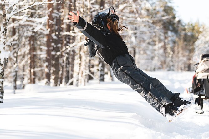Family Snowmobile Safari from Santa Claus Village - Price and Value: What $191.04 Buys You