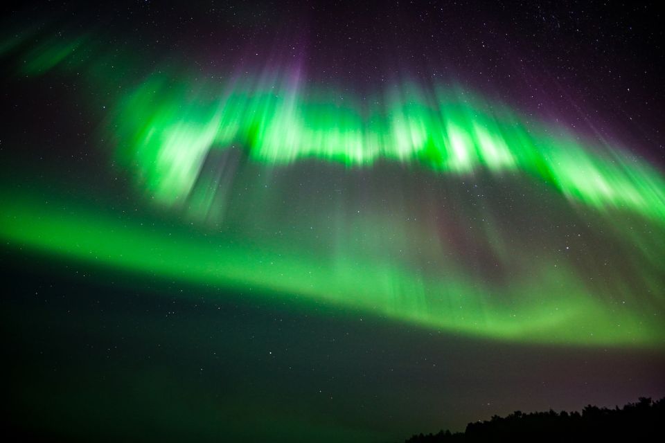 From Rovaniemi: Family-Friendly Northern Lights Tour - Outside time at the private viewing spot: waiting with purpose