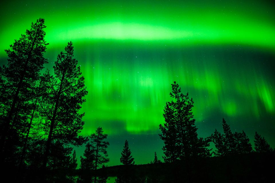 From Rovaniemi: Family-Friendly Northern Lights Tour - The teepee campfire break: snacks, warmth, and family energy