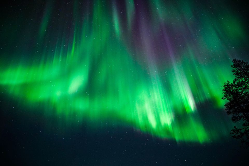 From Rovaniemi: Family-Friendly Northern Lights Tour - Who the guides are matters: family-friendly energy is part of the value