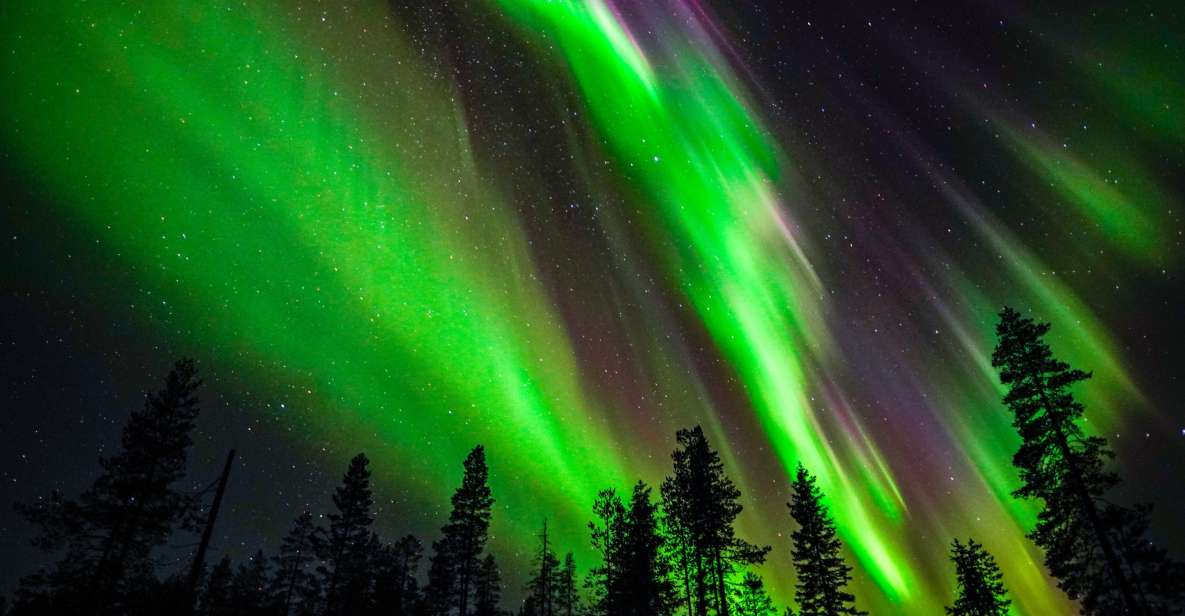From Rovaniemi: Family-Friendly Northern Lights Tour - What’s included (and what you’ll need to cover yourself)