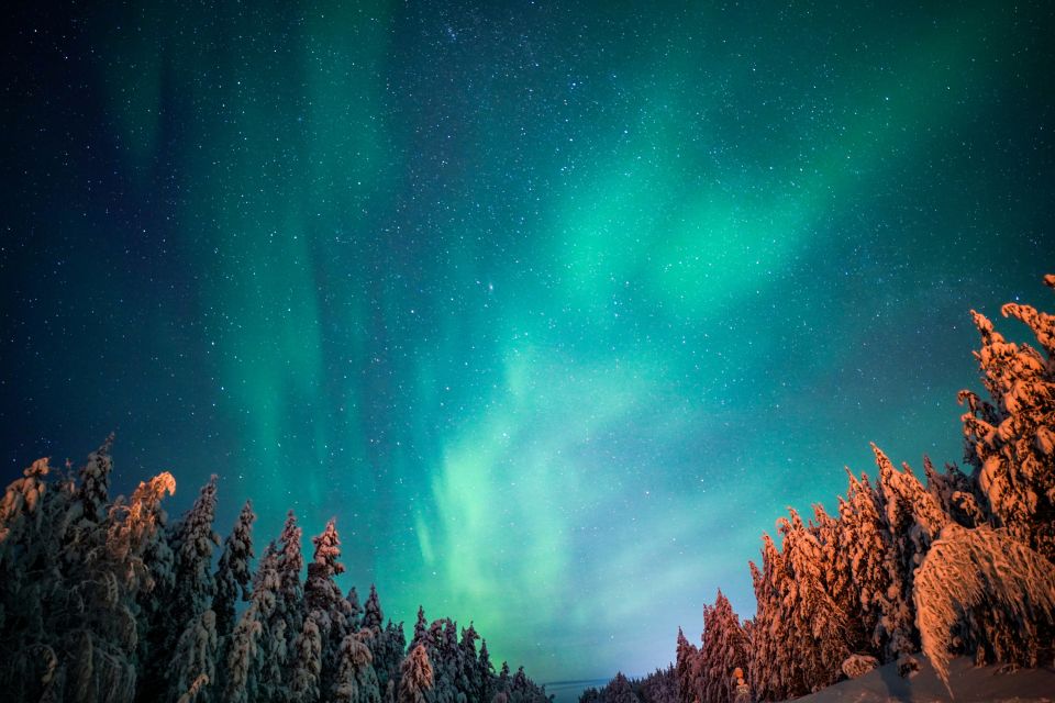 From Rovaniemi: Family-Friendly Northern Lights Tour - The drive away from city lights: your first aurora advantage