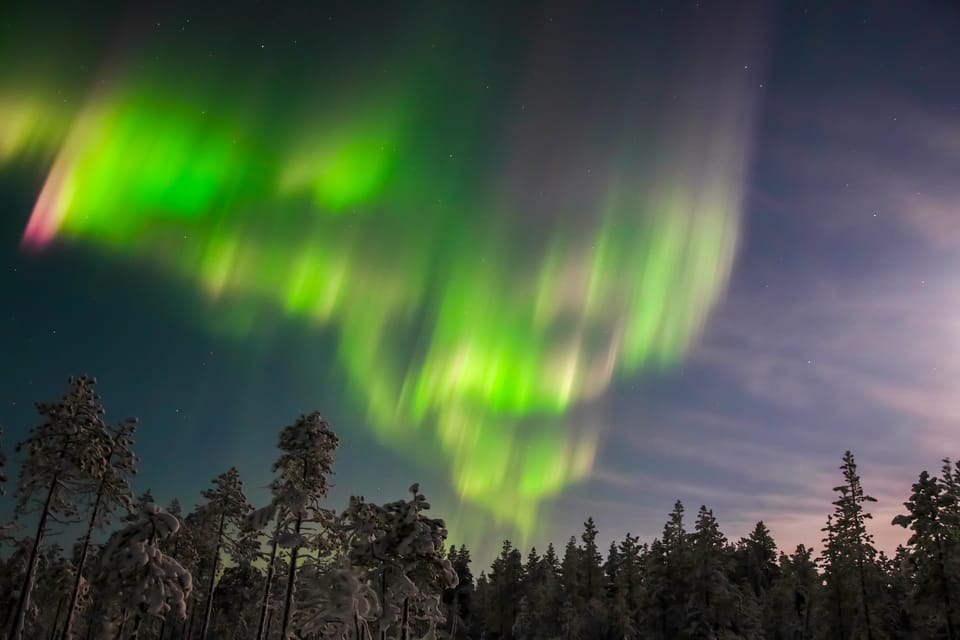 From Rovaniemi: Ice Floating under Aurora Borealis - Who should book ice floating (and who should skip)