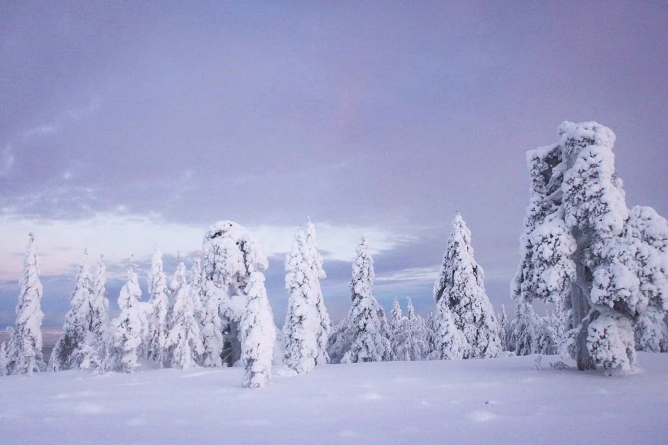 From Rovaniemi: Korouoma Canyon and Frozen Waterfalls Tour - Lappish campfire breaks: hot drinks, sausages, rice cakes, and fire-making skills