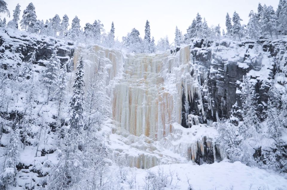 From Rovaniemi: Korouoma Canyon and Frozen Waterfalls Tour - Wildlife spotting: scan calmly, not frantically