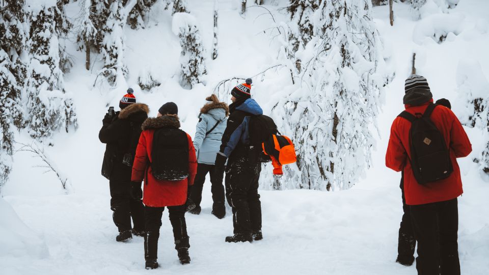 From Rovaniemi: Korouoma Canyon and Frozen Waterfalls Tour - Price and value: is $117 per person fair for a 7-hour guided winter day?