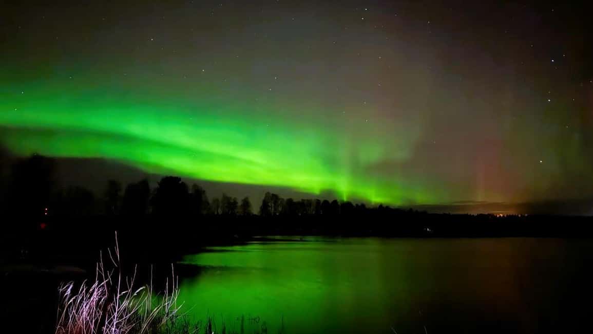 From Rovaniemi: Night Tour in Search of the Aurora with BBQ - Key moments worth knowing