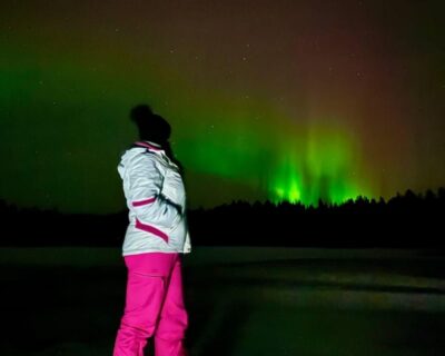 From Rovaniemi: Night Tour in Search of the Aurora with BBQ - Stop 2: Viewpoint time with tea and BBQ