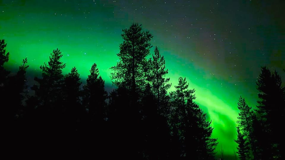 From Rovaniemi: Night Tour in Search of the Aurora with BBQ - Photo help: what you can ask for, and how guides actually assist
